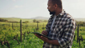 Agriculture & Food